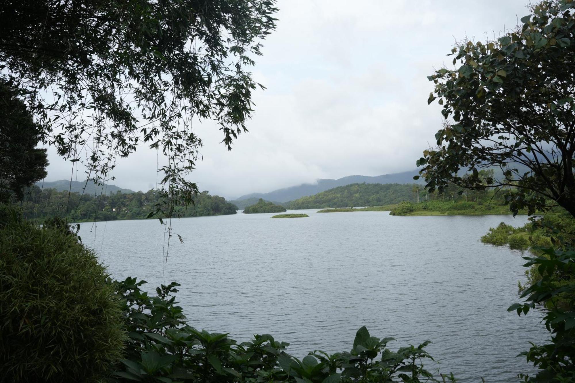 Padinjarathara Wayanad Silverwoods Forest Resort & Spa מראה חיצוני תמונה