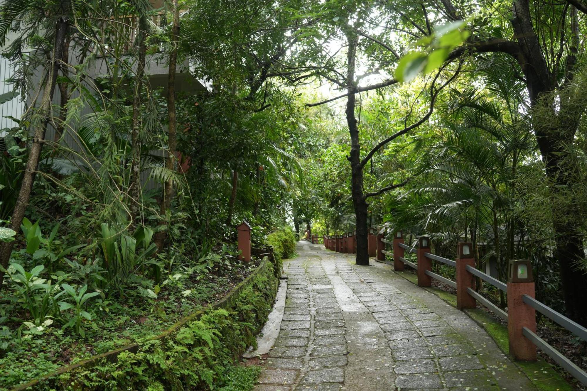 Padinjarathara Wayanad Silverwoods Forest Resort & Spa מראה חיצוני תמונה