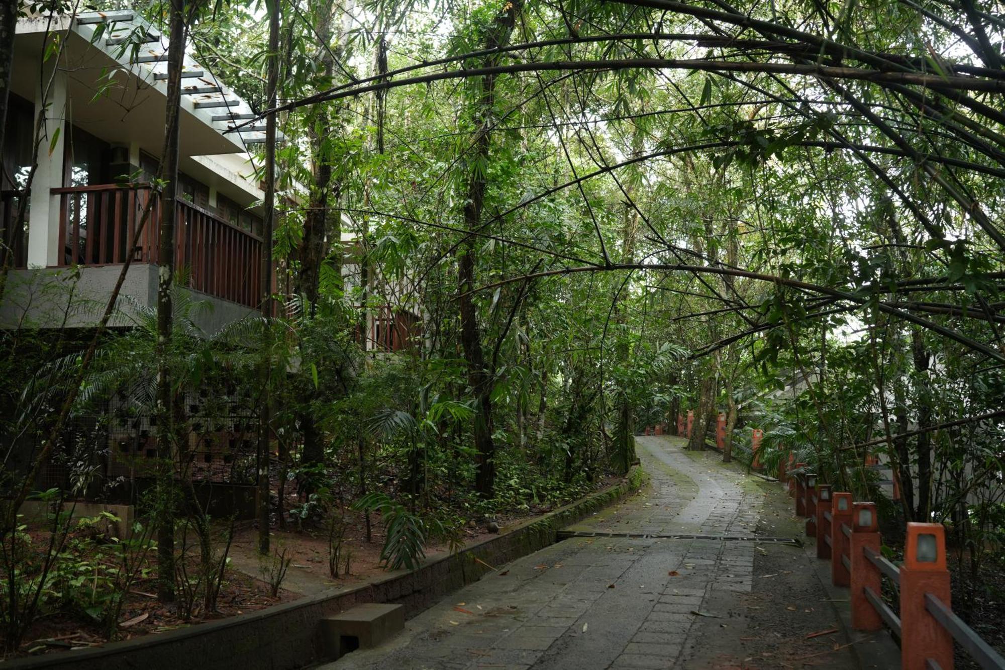 Padinjarathara Wayanad Silverwoods Forest Resort & Spa מראה חיצוני תמונה