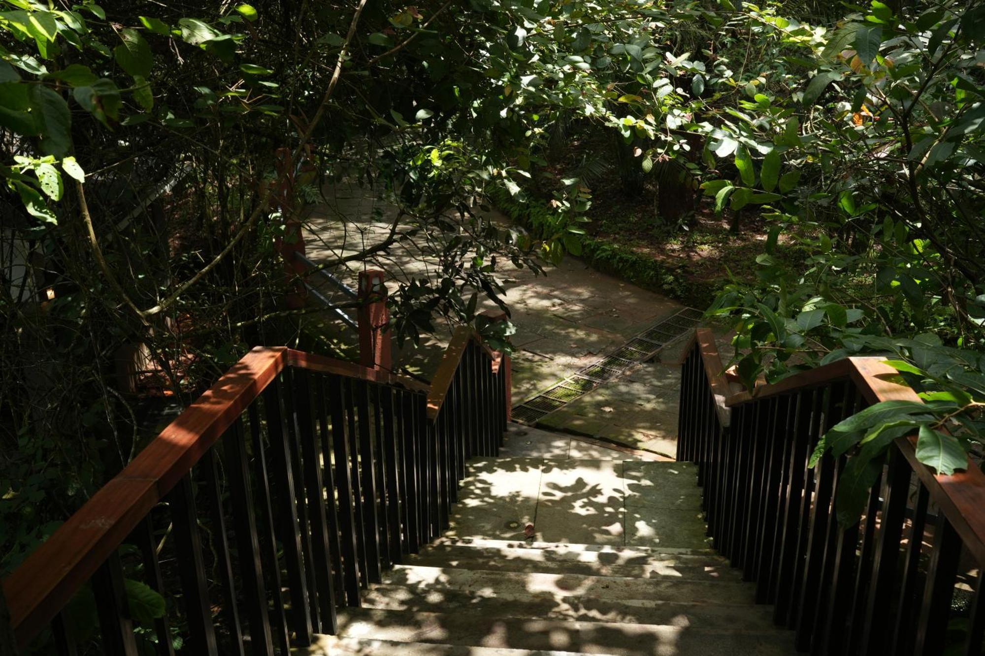 Padinjarathara Wayanad Silverwoods Forest Resort & Spa מראה חיצוני תמונה