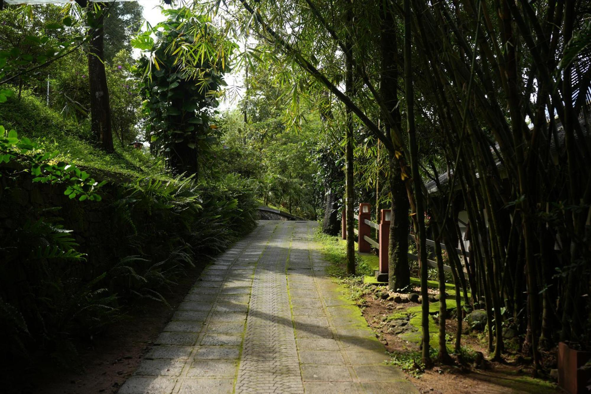 Padinjarathara Wayanad Silverwoods Forest Resort & Spa מראה חיצוני תמונה
