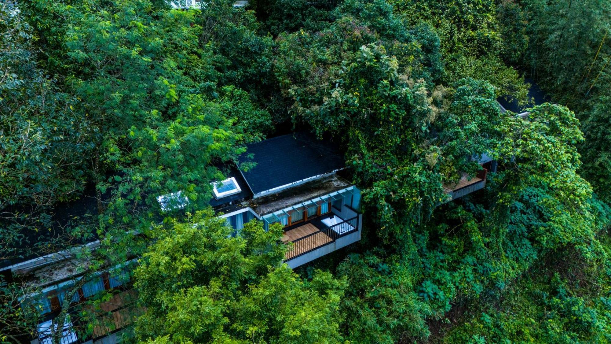 Padinjarathara Wayanad Silverwoods Forest Resort & Spa מראה חיצוני תמונה